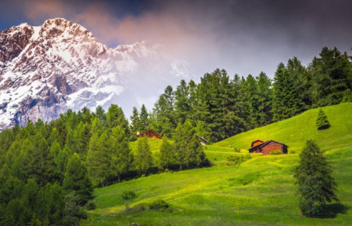 Snow-capped peaks and Floral Meadows