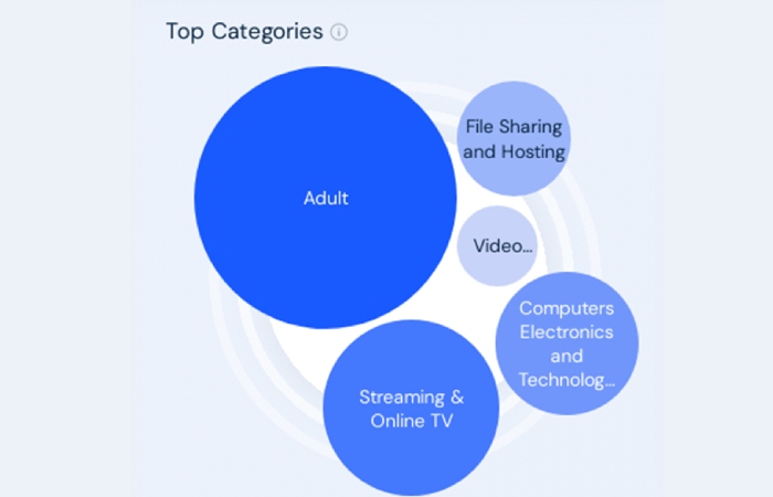 Top Categories