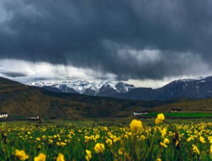 Valley of Flowers National Park Photos