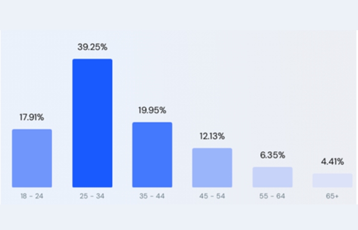 Web Traffic Demographics