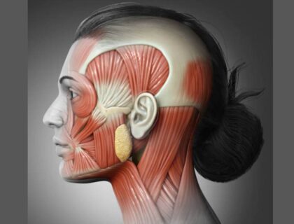 Occipital Lymph Nodes